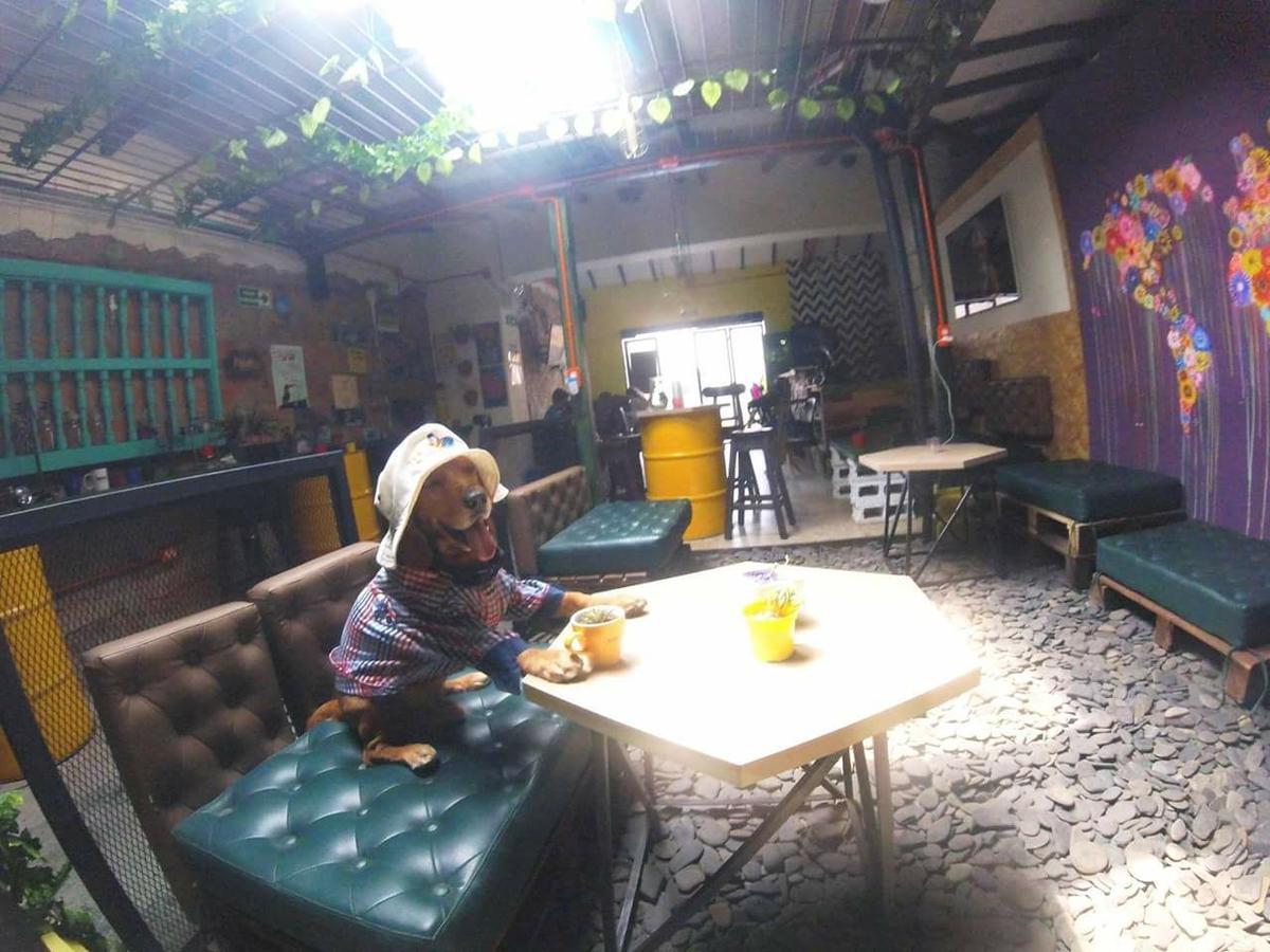 Hostel Panela Medellín Exteriér fotografie