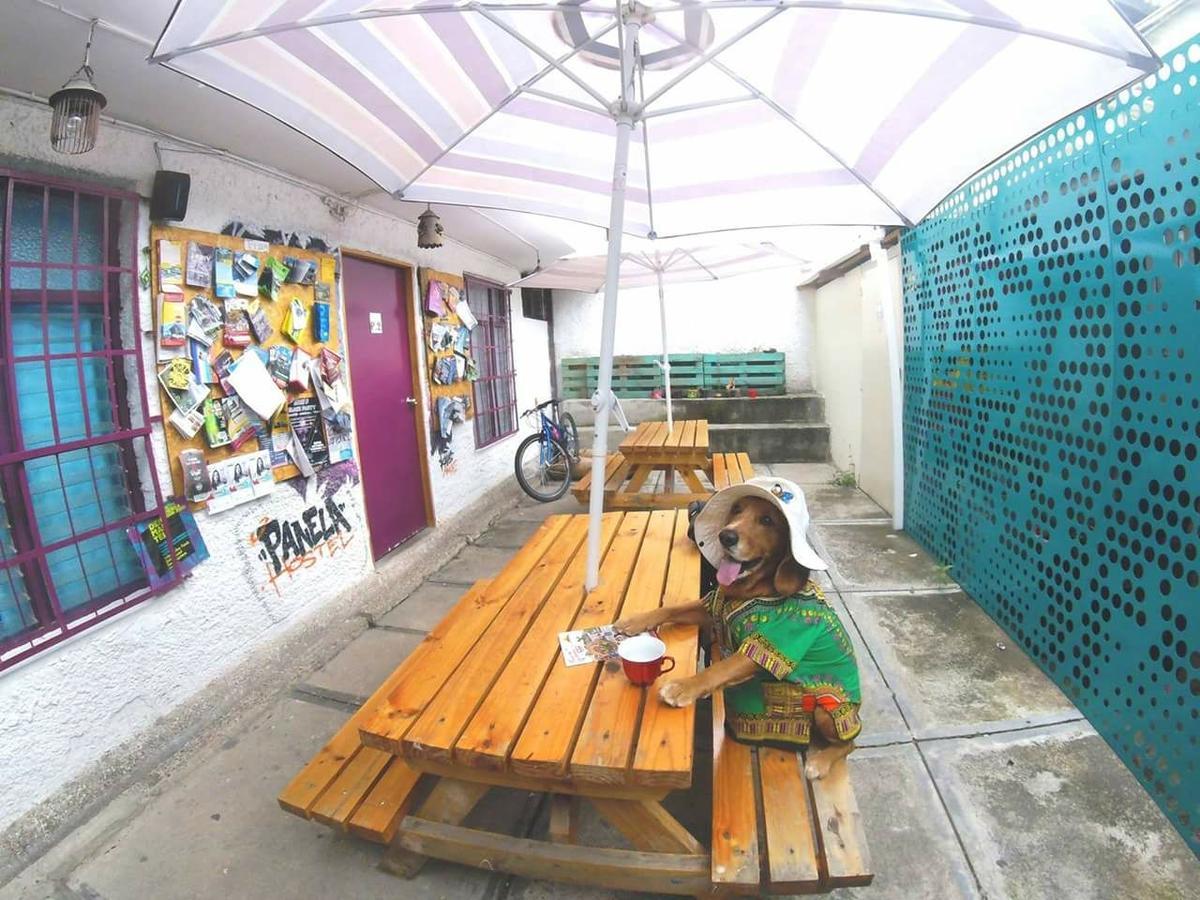 Hostel Panela Medellín Exteriér fotografie