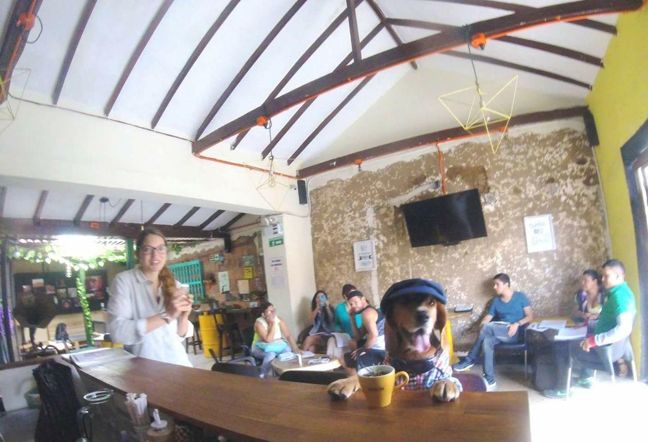 Hostel Panela Medellín Exteriér fotografie